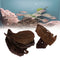 Catappa Leaf Betta Leaves Water Conditioner for   Tank Aquarium Pets , 10