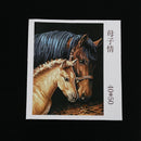 Diy Oil Painting by Numbers -Horses- PBN Kit for Adults Girls Kids White Ch