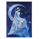 5D DIY Round Drill Diamond Painting Moon Goddess Cross Stitch Embroidery(C