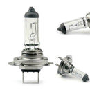 H7 12V 55W Halogen Bulb Headlight Halogen Automotive Lamp Car Y8J5 B5Q5
