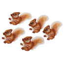 5 Pieces Cloth Stickers with Squirrel Pattern Embroidery Patch Clothing