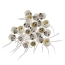 20 set GU10 socket (for LED and halogen bulbs)