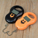 50Kg /10G Mini Digital Hanging Scale for Fishing Luggage Travel Weighting S