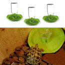 Reptile Pet Tortoise Automatic Food Drink Water Dispenser Feeder Favor Roun B7D3