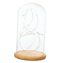Battery Operated LED Lights Glass Cloche Table Lamp Fairy Lights Crafts C