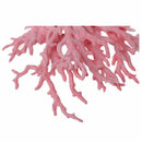 Aquarium Decoration Finger coral terrarium fish Aquarium tank decoration 13