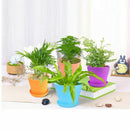 8Pcs Mini Plastic Flower Seedlings Nursery Pot Planter, 4inch Flower Pots W E3Z2