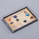 12 Mini Specimens Crystal Gemstones Of The World Home Decor Children's Gift