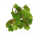 2pcs Artificial Plastic Simulation Succulent Plants Micro Landscape Decor
