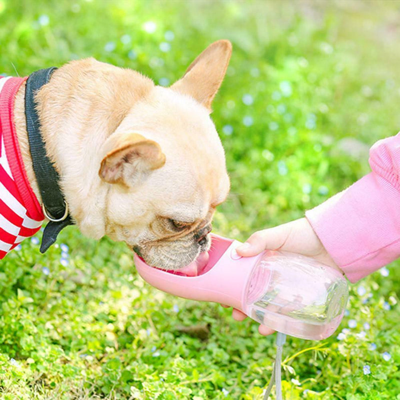 Plastic Harry Water Bowl Self Folding Pet Water Cup Travel Dog Kettle Pink