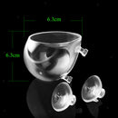 5pcs Crystal Glass Planter Aquarium Tank Aquatic Plant Cup Pot Home Decor
