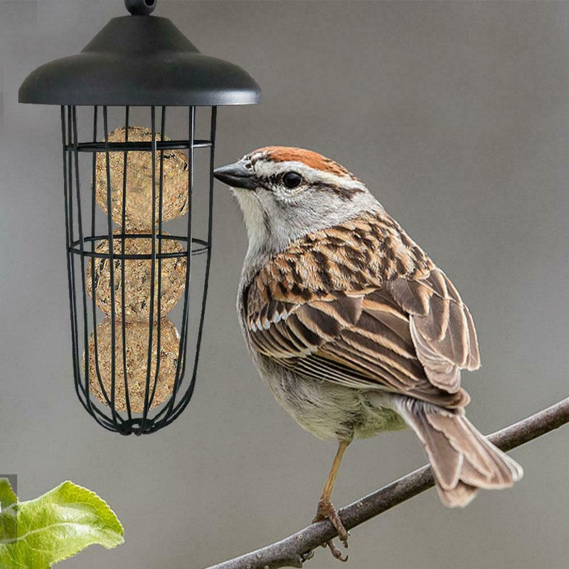 Hanging Feeding Automatic Tool Use Outdoor Bird Carrying Metal Feeder Cage Bird
