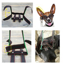 3 x Dog Ear Care Tools Ear Erect Standing Up,Doberman Pinscher Dog Ear
