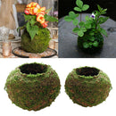 2 Pcs Green Moss Ball Flower Pot, Flowerpot Holder Garden Planter, Flowers