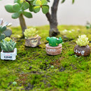 Moss Micro Landscape Ornaments Love Pot Plant Mix Size Fairy Garden Decor,Cra JR
