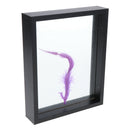 Plant Specimen Wood Photo Frame Double-sided Glass Photo Frame Black