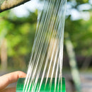 Grafting Tape Stretchable Self-adhesive For Garden Tree Seedling 2cm*100m