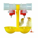 Bird Coop Double Cups Automatic GeflÃ¼gel-Wasser, the trinocular