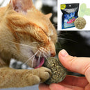 Magic Pet Cat Chewing ToyTeeth Cleaning Kitten Treats Catnip Stick HOT