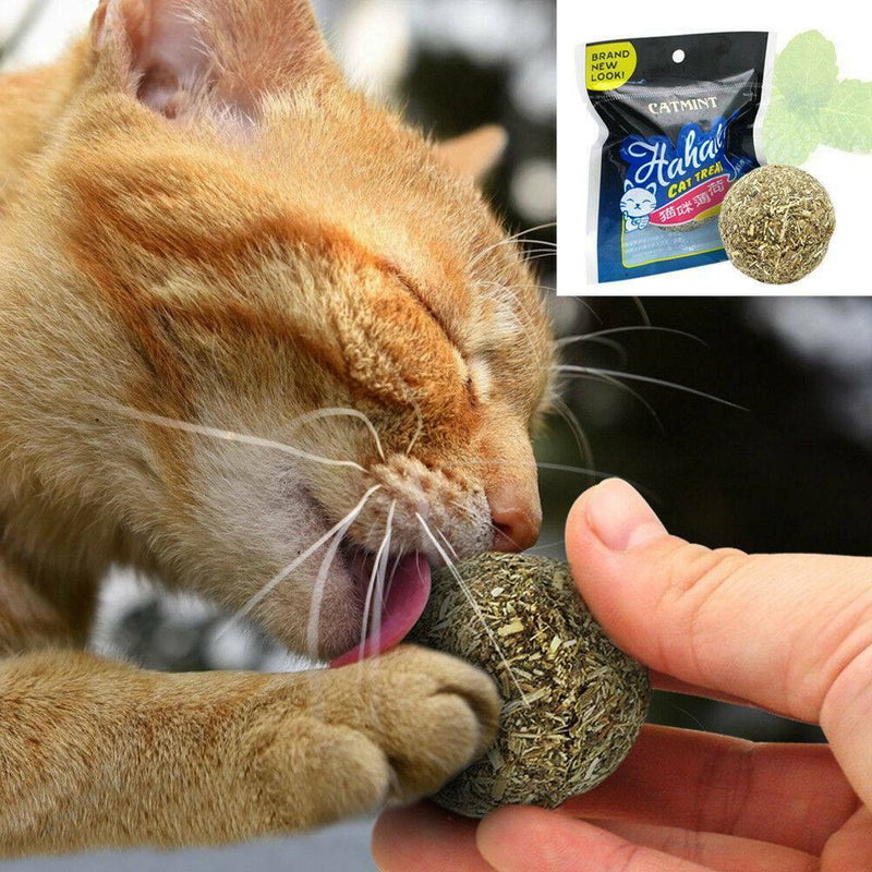 Magic Pet Cat Chewing ToyTeeth Cleaning Kitten Treats Catnip Stick HOT