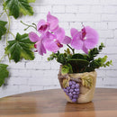 Artificial Green Rose Leaves/Butterfly Orchid  Silk Leaf Beauty Plant Decor 3C
