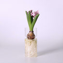4 pieces Clear Glass Hydroponic Vase Flower Plant Pot Terrarium Container