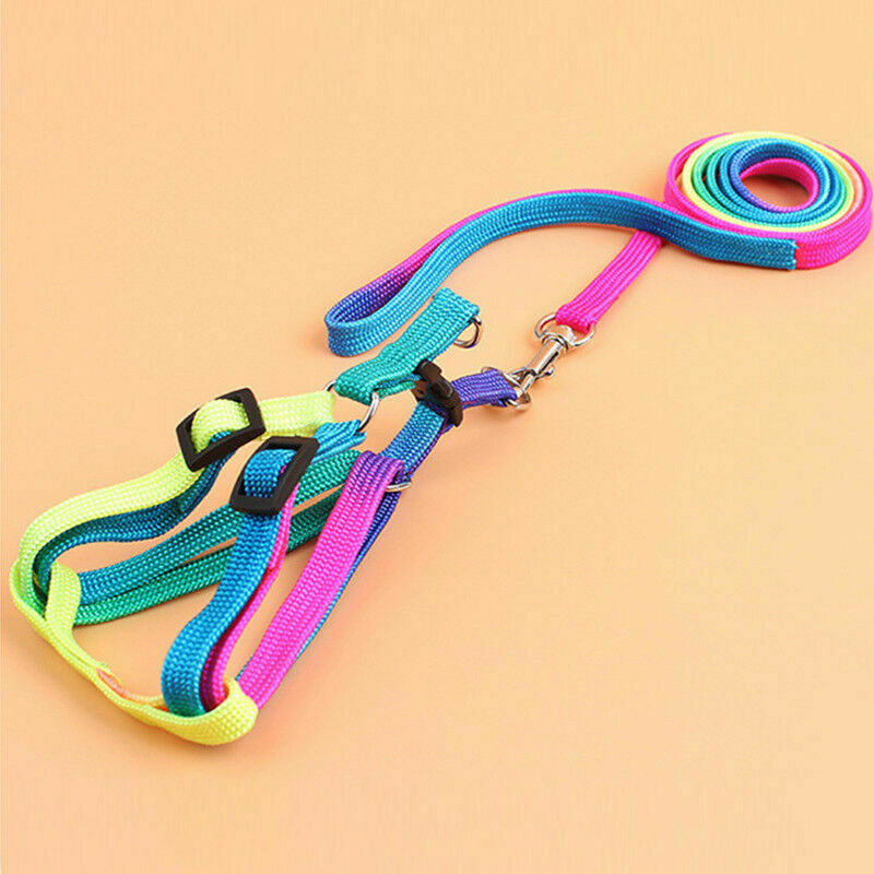 Small Pet Dog Puppy Cat Kitten Harness for Walking Lead Leash Collar AU C1A1