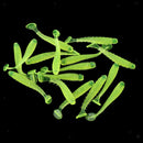 16x Worm ing Lures Soft Crank Baits T-tail  Tackle Lures 5cm Yellow