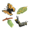 3x Realistic Nature Life Cycle Animal Growth Child Education Toys