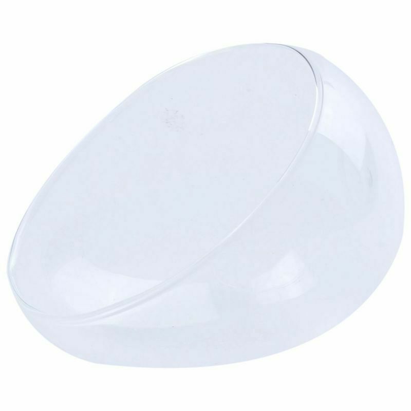 Creatively Glass Small Garden Cloche Plant Flower Cover Home Desktop Decora