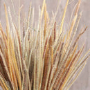 50pcs Natural Dried Thousand Grass Reed Flower Bunch Wedding Plant Decor