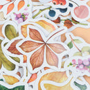 46pcs/lot Autumn Fallen leaves Plant Paper Diary Mini Cute box Stickers set JR