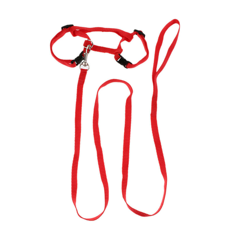 Adjustable Soft Rabbits Harness With Leash For Samll Animal Random