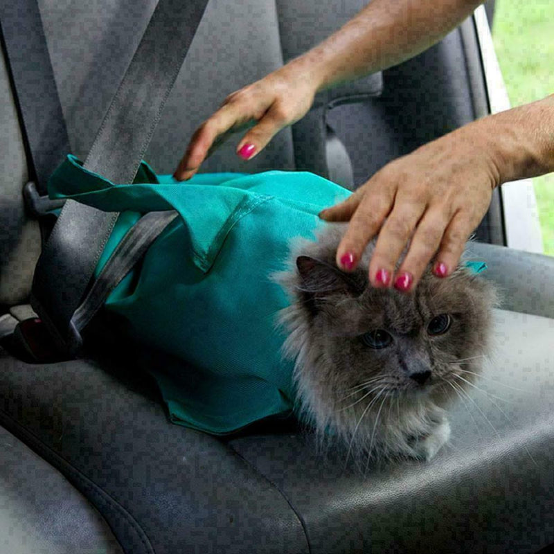 Cat Pet Carrier Pouch Out Travel Backpack V9V6 T9G6 U0H1 R1E9