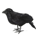 2Pcs Lifelike Black Feathered Raven Crows Prop Halloween Lawn Ornament