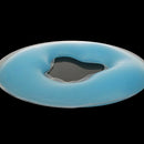 Soft Salon SPA Massage Silicone Face Relax Cradle Cushion Bolsters Pillow P