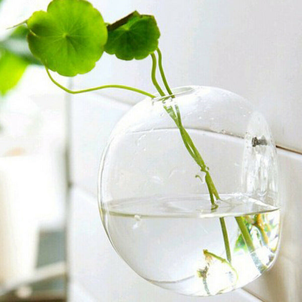 8 x Wall Mounted Transparent Glass Hydroponic Vase Terrarium Container - Ball -