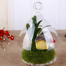 Hanging Glass Vase Ellipse Hanging Terrarium Glass Vase Hydroponic Office E K5P7