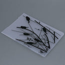 Bird Branch Plastic Embossing Folder for Scrapbooking DIY Photo Album Card