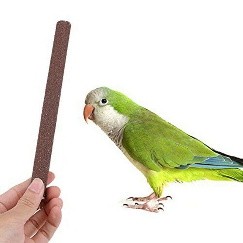 Parrot Perches, 5pcs Bird Perches Budgie Perch Cockatiel Perch Birdcage Sta D3U6