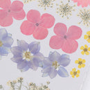 Real Dried Flower Material Dyeing Flower For Craft Phone Case DIY Accessori%!