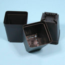 50pcs Mini Plastic Flower Pots for Plant Nursery 7cm x 7cm - Black