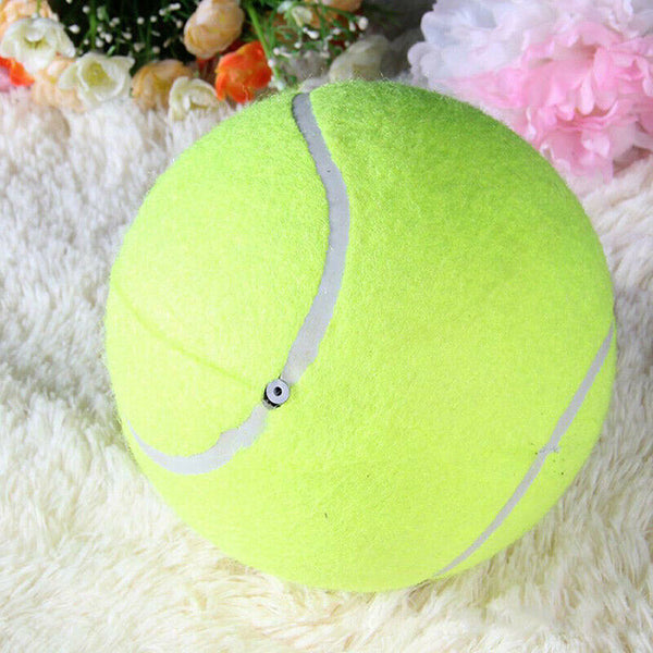 9.5" Big Giant Pet Dog Puppy Kids Tennis Ball Thrower Chucker Launcher Play  Hn