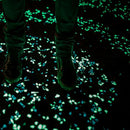 Colorful Conch Outdoor Shell Shaped Luminous Pebbles Glowing Stones