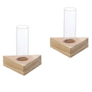 2pcs Planter Test Tube Flower Bud Vase Tabletop Glass Pots in Wooden Stand