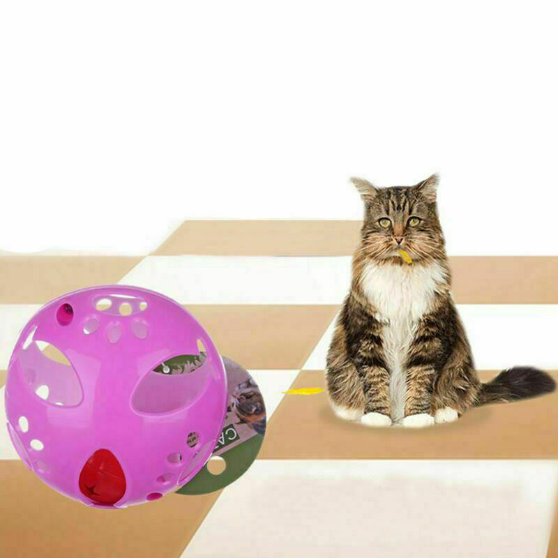 10cm Big Cat Kitten Puppy Dog Pet Play Balls Jingle P Rattle Bell Z4Z1 Chas W1X2