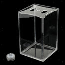 Isolation Fish Tank Acrylic Transparent for Guppy and Rumble Fish