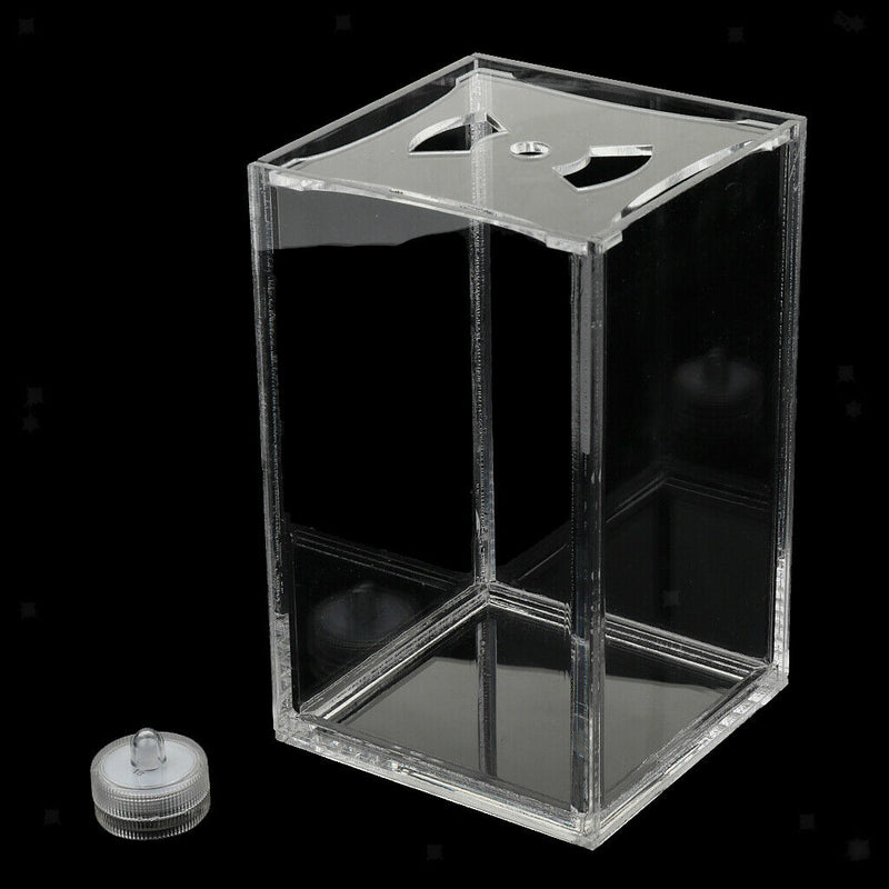 Isolation Fish Tank Acrylic Transparent for Guppy and Rumble Fish