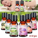 6 Scents 100% Pure Natural Essential Oil Bottle for Aromatherapy Aroma Diffuser