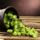 100pcs pack Egrow hops humulus lupulus seeds brew your own beer today returns year after